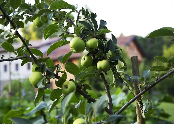 Bed & Breakfast Ca' De Taruffi