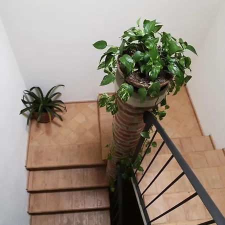 Ca' De Taruffi Bed & Breakfast Sasso Marconi