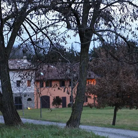 Ca' De Taruffi Bed & Breakfast Sasso Marconi