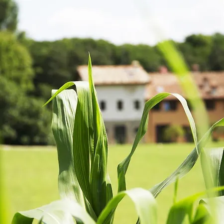 B&B Ca' De Taruffi 3* Сассо-Маркони