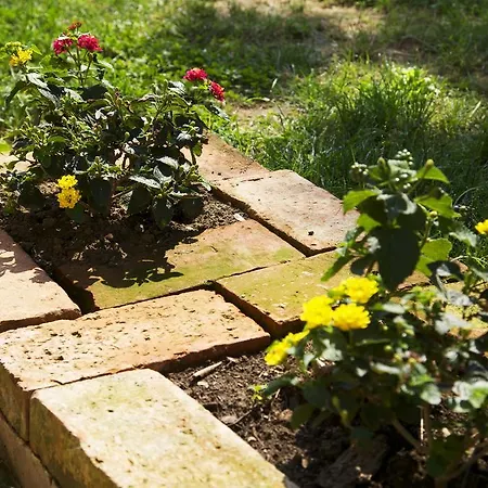 Bed & Breakfast Ca' De Taruffi Sasso Marconi