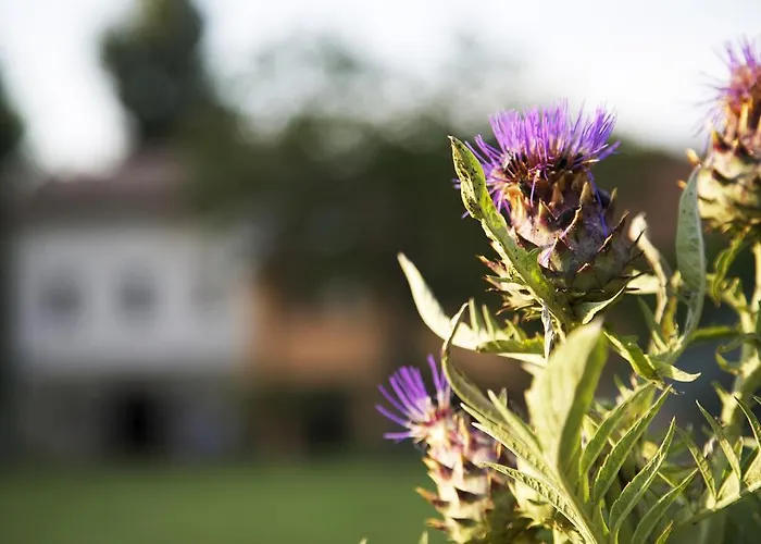 Ca' De Taruffi Sasso Marconi