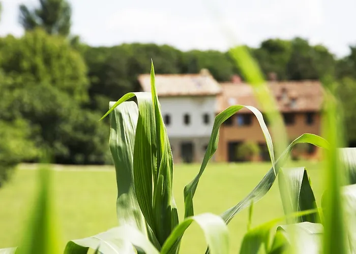 Ca' De Taruffi 3* Sasso Marconi