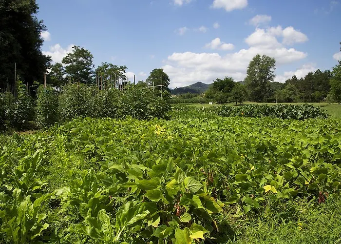 Bed & Breakfast Ca' De Taruffi 3*